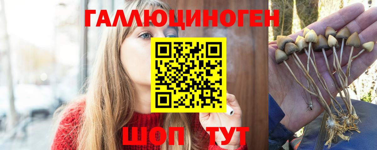 Псилоцибиновые грибы мухоморы Шахты