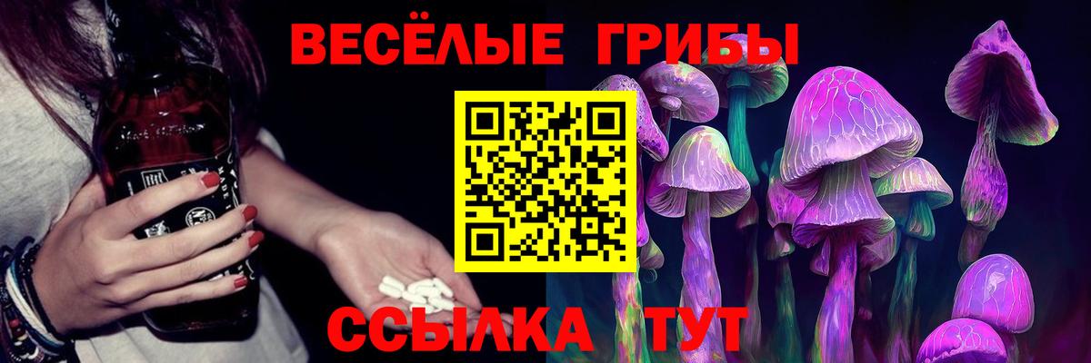 где можно купить   Вход с VPN  Псилоцибиновые грибы GOLDEN TEACHER  Шахты  Галлюциногенные грибы мухоморы 