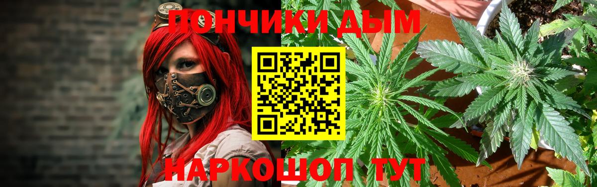Бошки марихуана SATIVA & INDICA  Вход с VPN  Каннабис семена  Бошки Шишки White Widow  Конопля LSD WEED  Шахты 